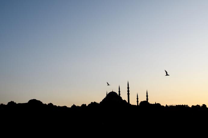 Silhuette ein türkischen Stadt mit Moschee
