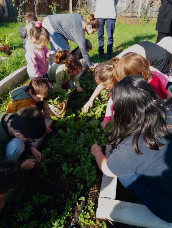 Gartenbau mit Kindern in Montenegro